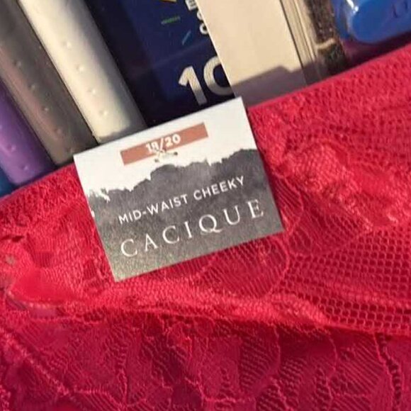 Lane Bryant Cacique 2 pairs - Hipster & Mid-Waist Cheeky - NEW W/Tags - Picture 2 of 7